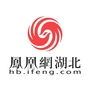 凤凰网湖北ico
