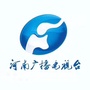 记实河南ico