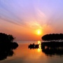 绿色青浦ico