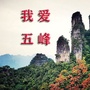 我爱五峰ico
