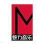 魅力音乐ico