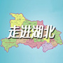 走进湖北公众号ico
