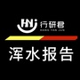 浑水报告ico