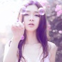 女人微情感ico