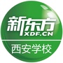 西安新东方ico