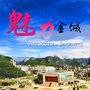 魅力金城ico