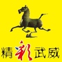 精彩武威ico