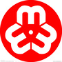 江川区妇联ico