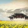 金彩庄行微报ico