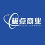 极点商业ico