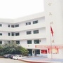 武侯区金凤社区青年ico