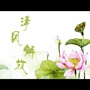 清风解放ico