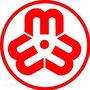 巾帼青白江ico