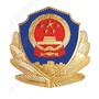 平安金河ico