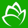 掌上金湖ico