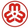 凤飞江汉ico