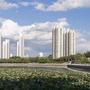 网信建华ico