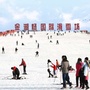 金湖杨景区ico