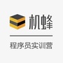 机蜂程序员Vico