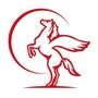 大城帝景华府ico