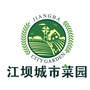 江坝城市菜园ico