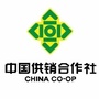 江都供销ico
