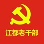 江都老干部ico