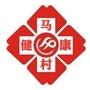 健康马村ico