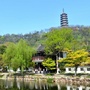 镇江市焦山景区ico