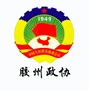 胶州政协ico