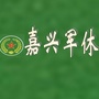 嘉兴军休ico