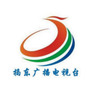 金凤视听ico
