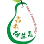 吉米柚生态ico
