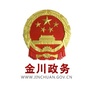 金川政务ico
