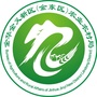 金东农业农村ico