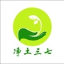 净土三七ico
