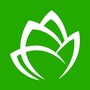金湖论坛ico