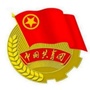 金普青年ico