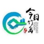 今日竹岛ico
