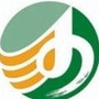 金沙河集团ico
