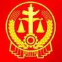 晋源法院公众号ico