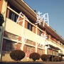 沙港村村委会ico