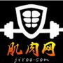 肌肉网ico