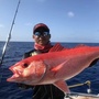 海岛海鲜直达ico