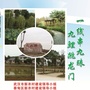 九如鲤ico