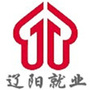 辽阳就业ico
