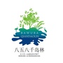 吉祥八五八ico