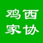 鸡西家协ico
