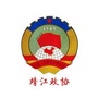 靖江政协ico