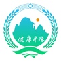 健康平凉ico